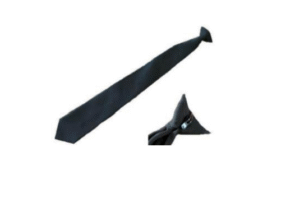 Clip on Ties